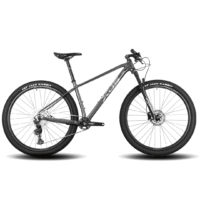 Bicicleta 29 Xds Knight Deore 12V. H. Bloqueo Remoto Gris 17