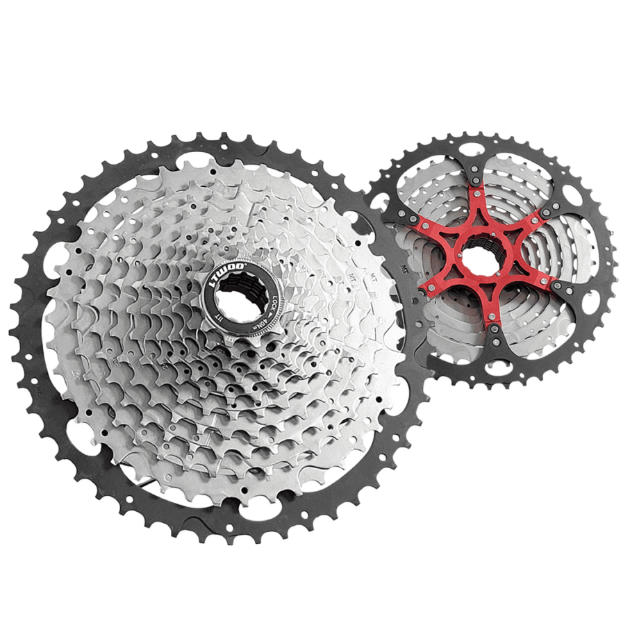 Piñon L-Twoo 12V 11-50T A12