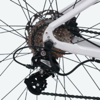 Bicicleta X-Race Electroasistida Flow 8V Batería 350Wh