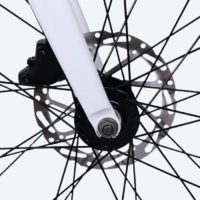 Bicicleta X-Race Electroasistida Flow 8V Batería 350Wh
