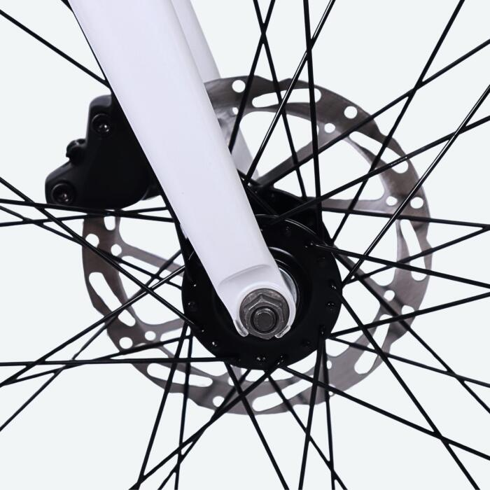 Bicicleta X-Race Electroasistida Flow 8V Batería 350Wh