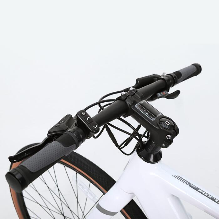 Bicicleta X-Race Electroasistida Flow 8V Batería 350Wh