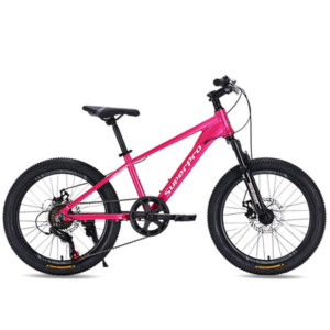 Bicicleta 20 Mtb Nrg Fucsia/Blanco 2025