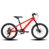 Bicicleta 20 Mtb Freeland Hombre Rojo/Negro