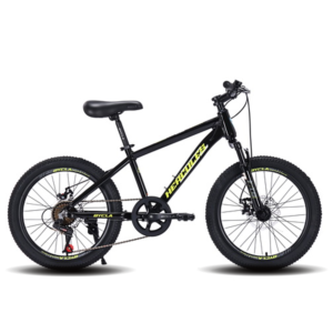 BI22041-112 Bicicleta 20 Mtb Bycla Hercules 2025 Hombre Negro/Verde